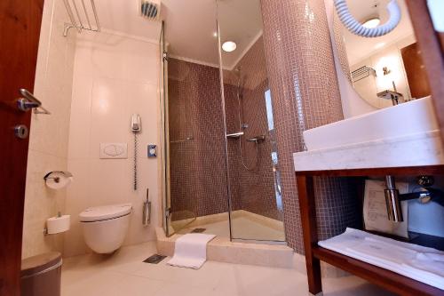 Hotel Ziya - image 5