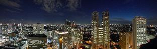 Keio Plaza Hotel Tokyo Premier Grand, Токио (фото 9)