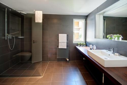 Chalet Altesse - Premium Apartments, Zermatt (photo 5)