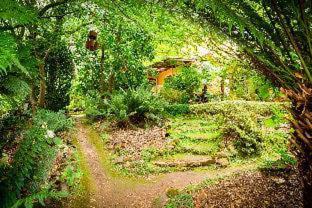 Como Cottage Accommodation, Olinda (fotografie 10)