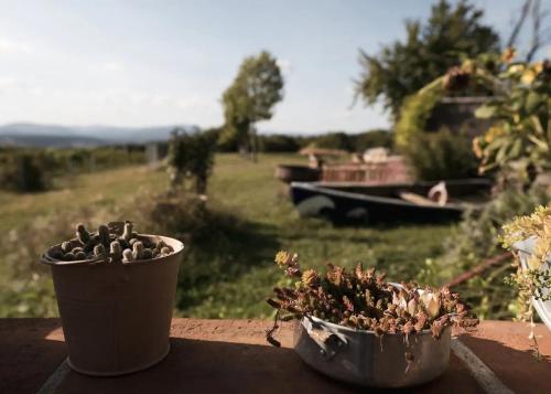 amberner Penthouse - main image