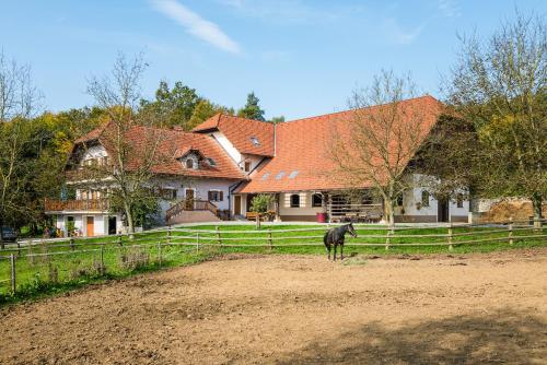 Accommodation in Šentvid pri Stični