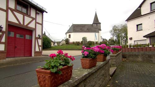 Holzfeld in Boppard, Deutschland