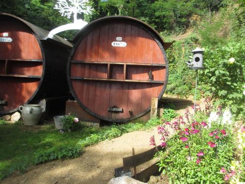 Foudres du Chêne du Py