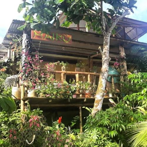 Cabanas Maiku Selva