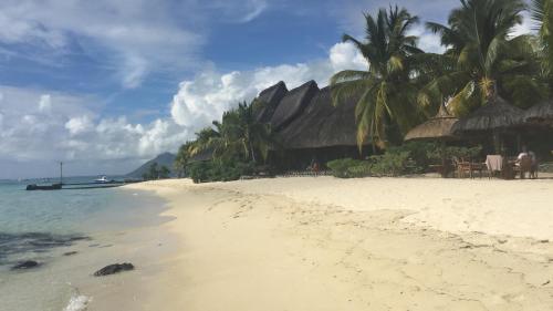 Otium 4
