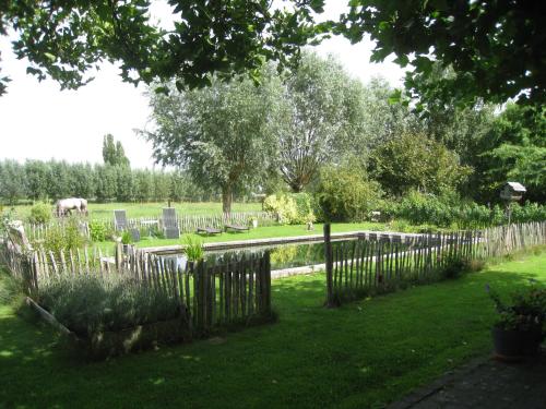 Zwembad, Vakantiehuis in de velden met zwemvijver en Jeu de Boules baan in Lier