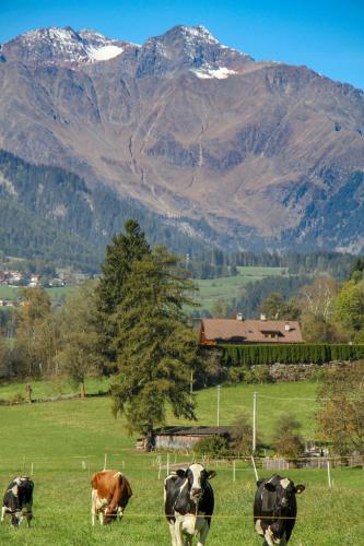 Huberhof Mareit - Südtirol