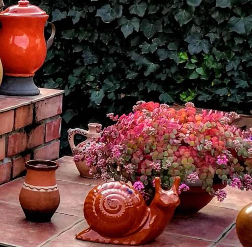  Fejérdi Vendégház in Villány