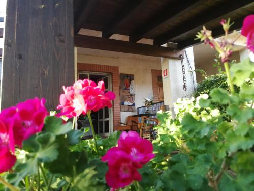 B&B Leggieri Villa Siria