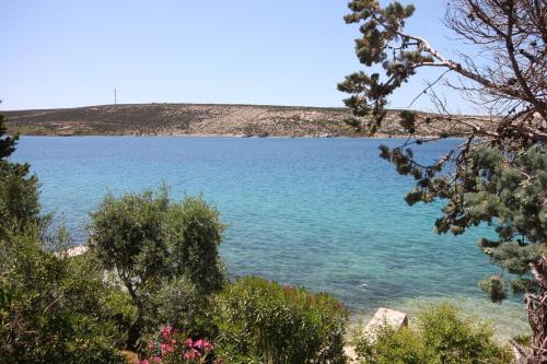 Apartments by the sea Stara Novalja, Pag - 6390