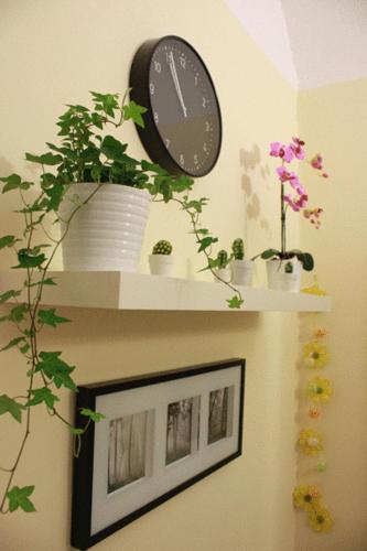 Hotel Campidoglio - image 12