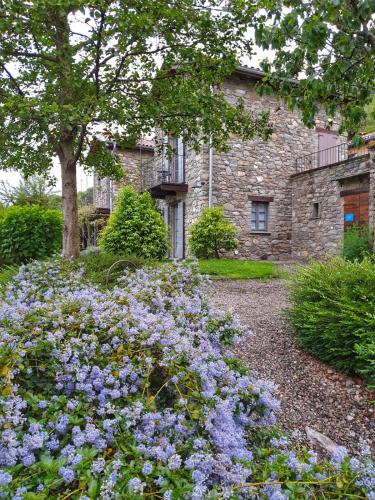 Agriturismo Tre Terre - image 12