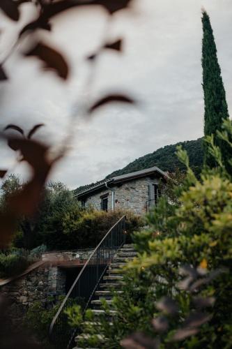 Agriturismo Tre Terre - image 7
