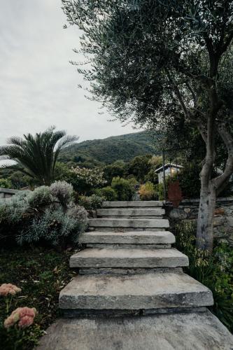 Agriturismo Tre Terre - image 2