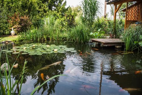 Ferienanlage Beatrix - image 13