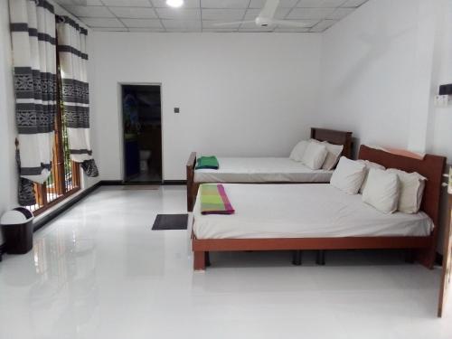 Priyanna Guest, Forest view