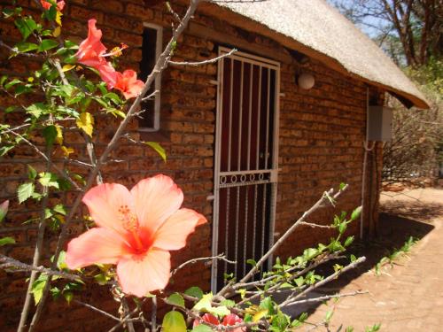 Jacaranda Self Catering Chalets