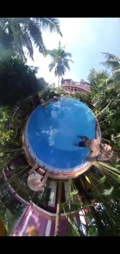 Wilson Ayurvedic Beach Resorts