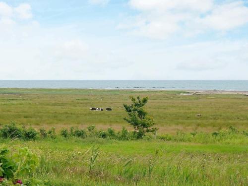 Létesítmények, 4 person holiday home in Tvaaker in Tvaaker