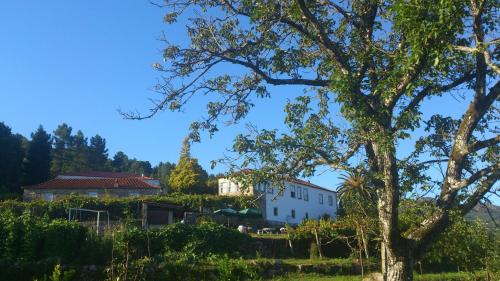 Estabulo de Valinhas - main image