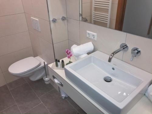 Andi's Skihotel - image 10