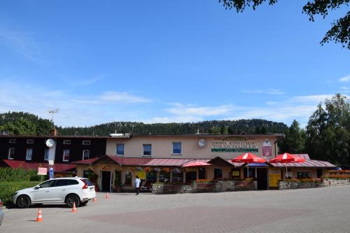 Ośrodek Wypoczynkowy Pod Szczelińcem - Hotel - Karłów