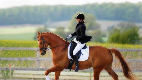 Pelikan Hotel in Büyükçekmece