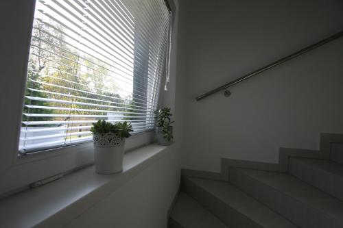 Apartman Katarina