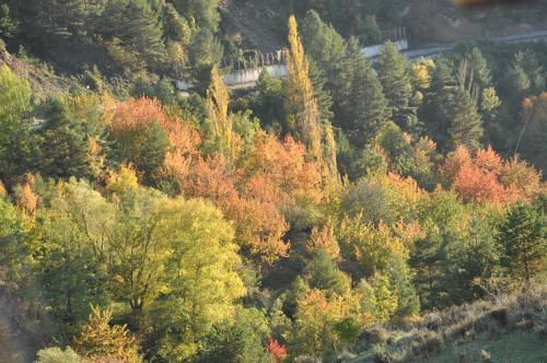 Casa Rural Molí de Fòrnols