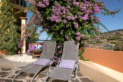  Casa Pita - Vintage family apartment in Calheta