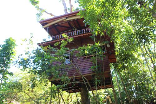 Tree House-Midigama