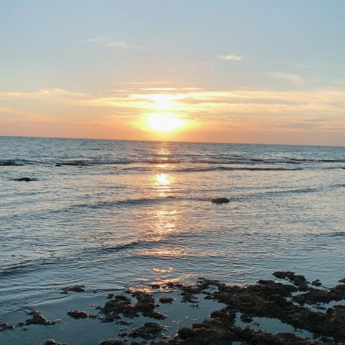 Coral Island - 해변