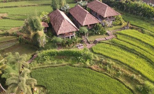 Sawah Indah Villa