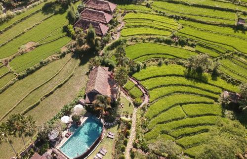 Sawah Indah Villa