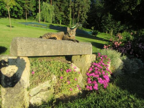 Chez "hygge en périgord" - villa ''Maeltri'' et gîte ''Intimité'' avec piscine et SPA