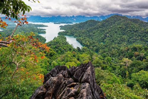 Khao Sok Riverside Cottages