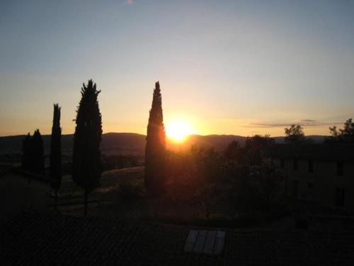 Fattoria Di Cavaglioni - image 13