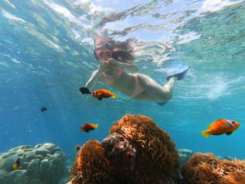 Photo of Rosemary Boutique