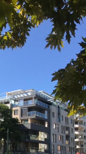 Riverside apart - image 4
