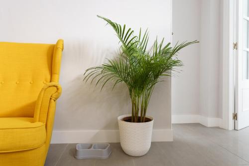 Apartamentos Circulo De Artistas, Ronda (zdjęcie 9)