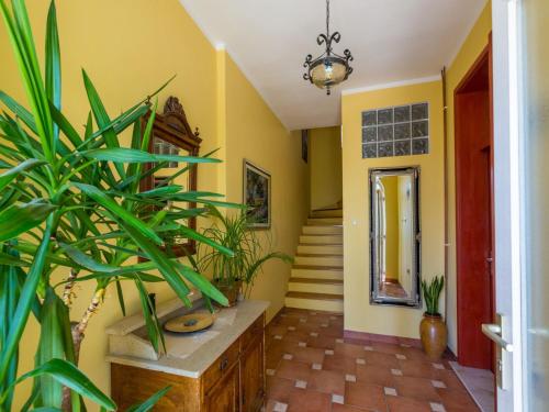 Apartment Gianni - image 14