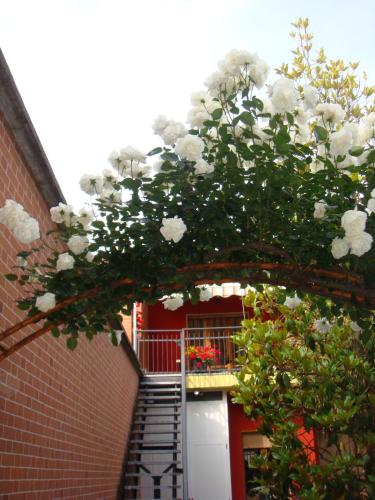 Ca 'd Peraca in Monticello d' Alba