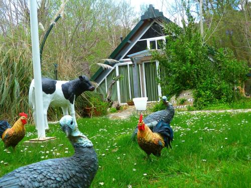 Hotelpension Sierra Madrona, Unterkunft in Fuencaliente