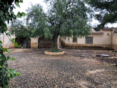  Casa Rural Cuevas las casicas in 30620 Las Casicas