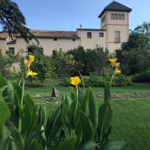 La Riera in Vic