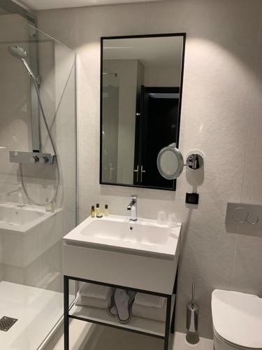 Hôtel Le Roosevelt - image 9