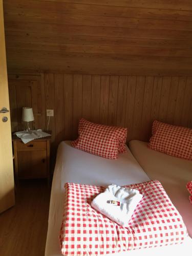 Gästehaus Schäfli in Intschi, Schweiz