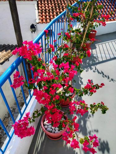  LE BATEAU in Skiathos-Stadt