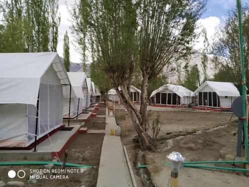 Lumbini Camp Hunder, Nubra Valley - 图片 4